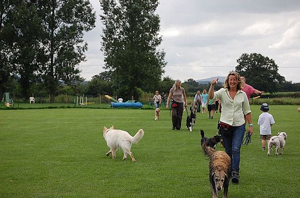 Tina Hazzard at Dogwise Training School in Mere, Wiltshire